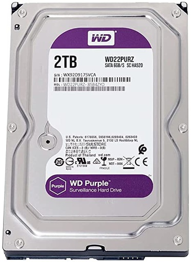 [WD22PURZ] DISCO DURO SATA 2TB (2000GB) ESPECIAL PARA DVR (SOLO CON DVR)